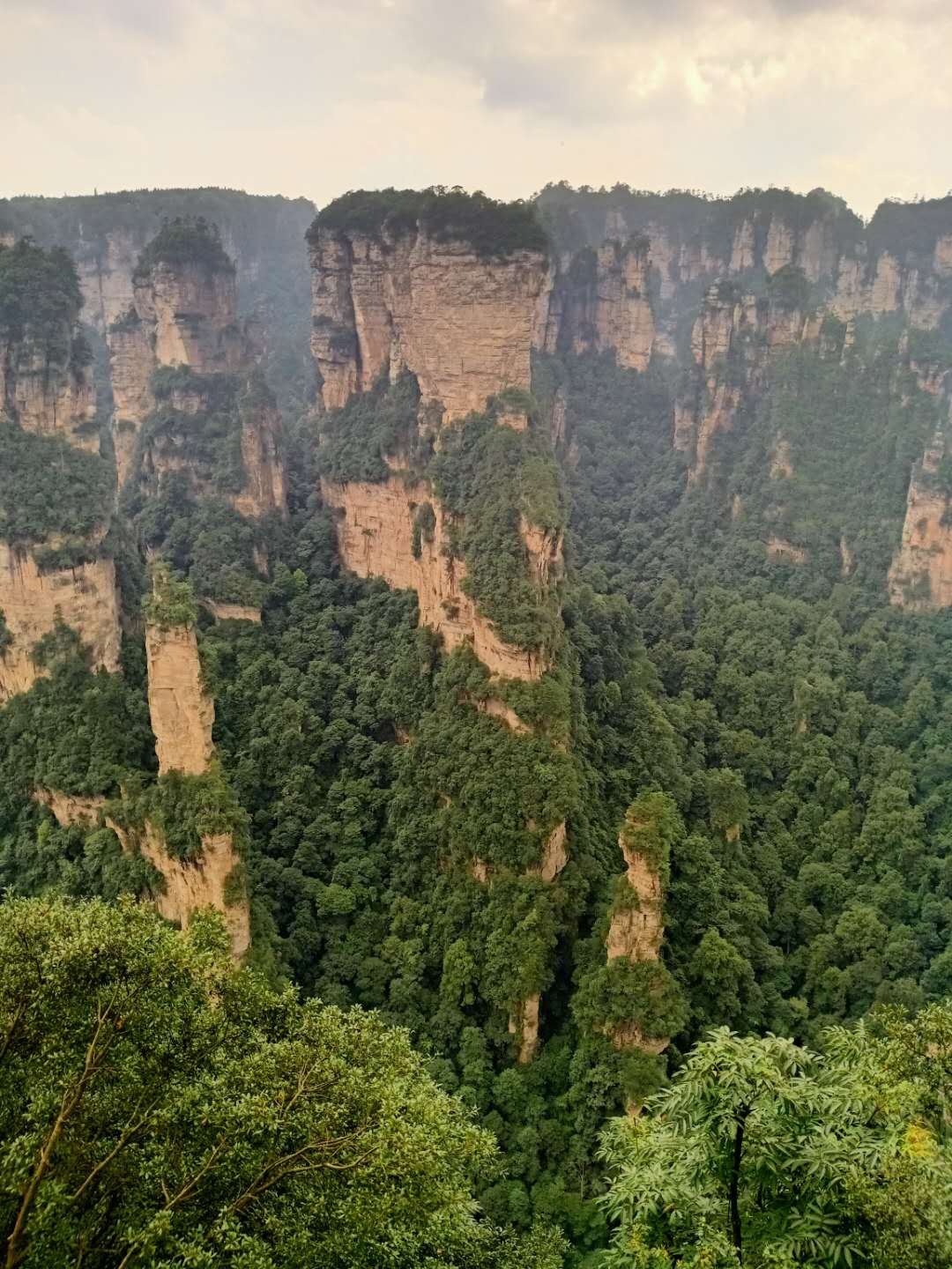 板式換熱器,板式換熱器機(jī)組,鈦材板式換熱器,板式冷凝器,全焊接板式換熱器,釬焊板式換熱器,衛(wèi)生級(jí)板式換熱器,寬流道板式換熱器,容積式換熱器,盤管換熱,換熱設(shè)備,板式冷卻器,換熱器廠家,換熱設(shè)備